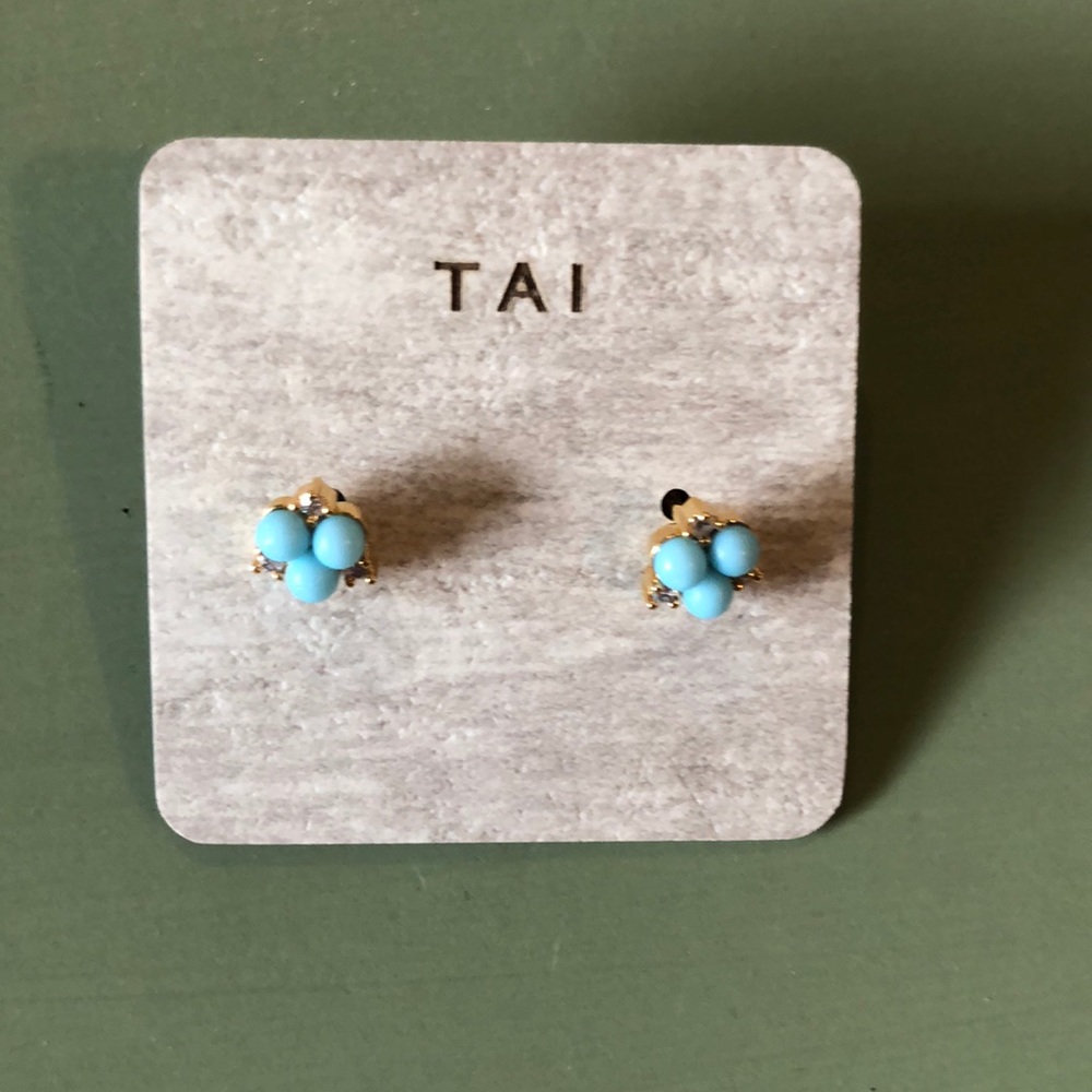 Earrings- never worn